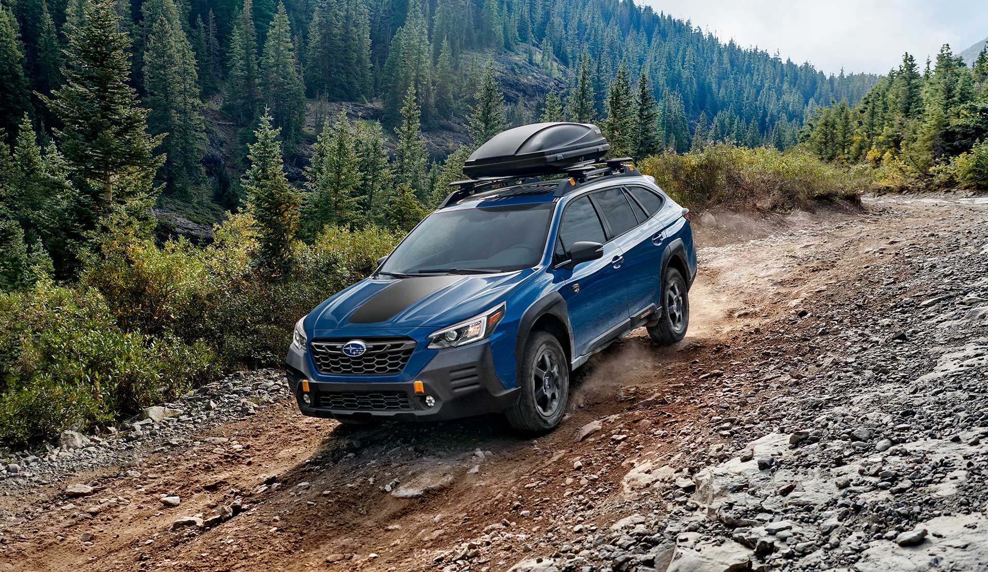 Subaru Outback Wilderness 2023 Price Performance