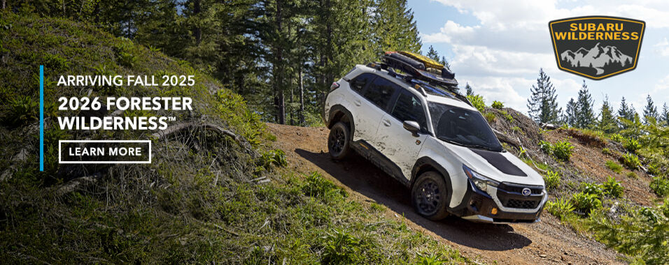 See more, explore more, experience more in the Forester WildernessT
