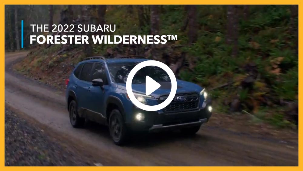 See more, explore more, experience more in the Forester Wilderness