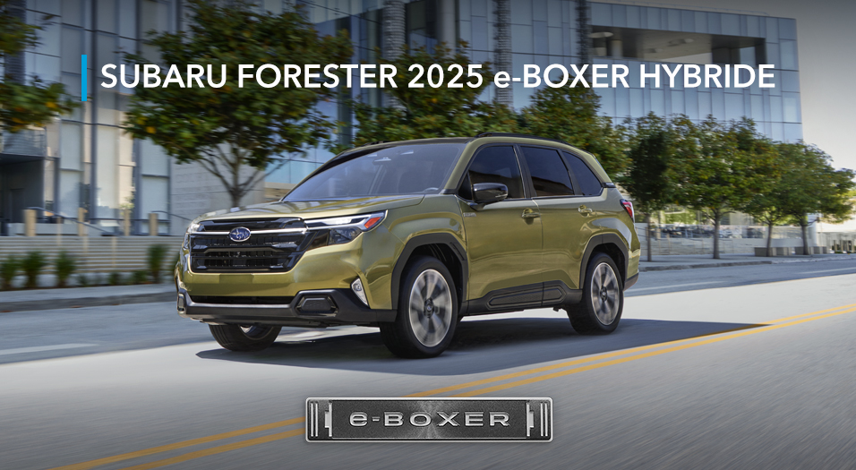 Plan rapproché de l’écusson e-BOXER.