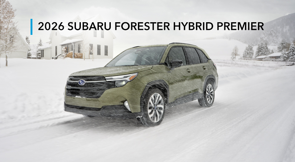 Closeup of the e-BOXER badge.