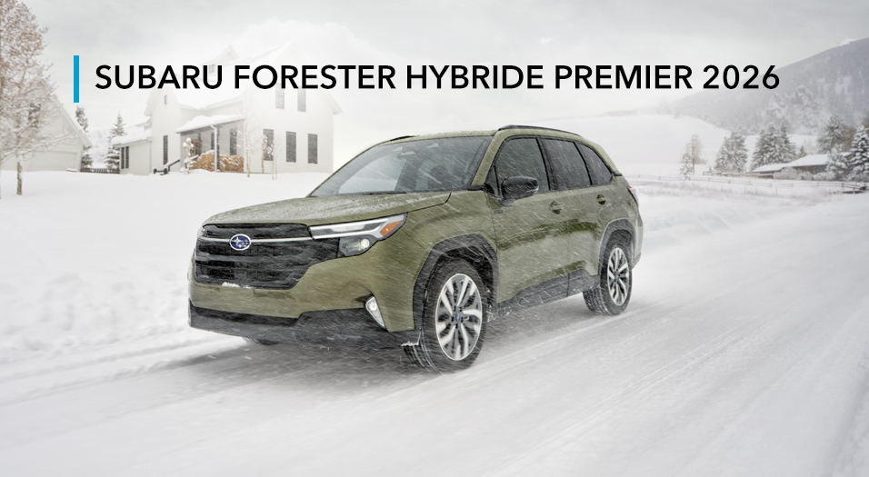 Plan rapproché de l’écusson e-BOXER.