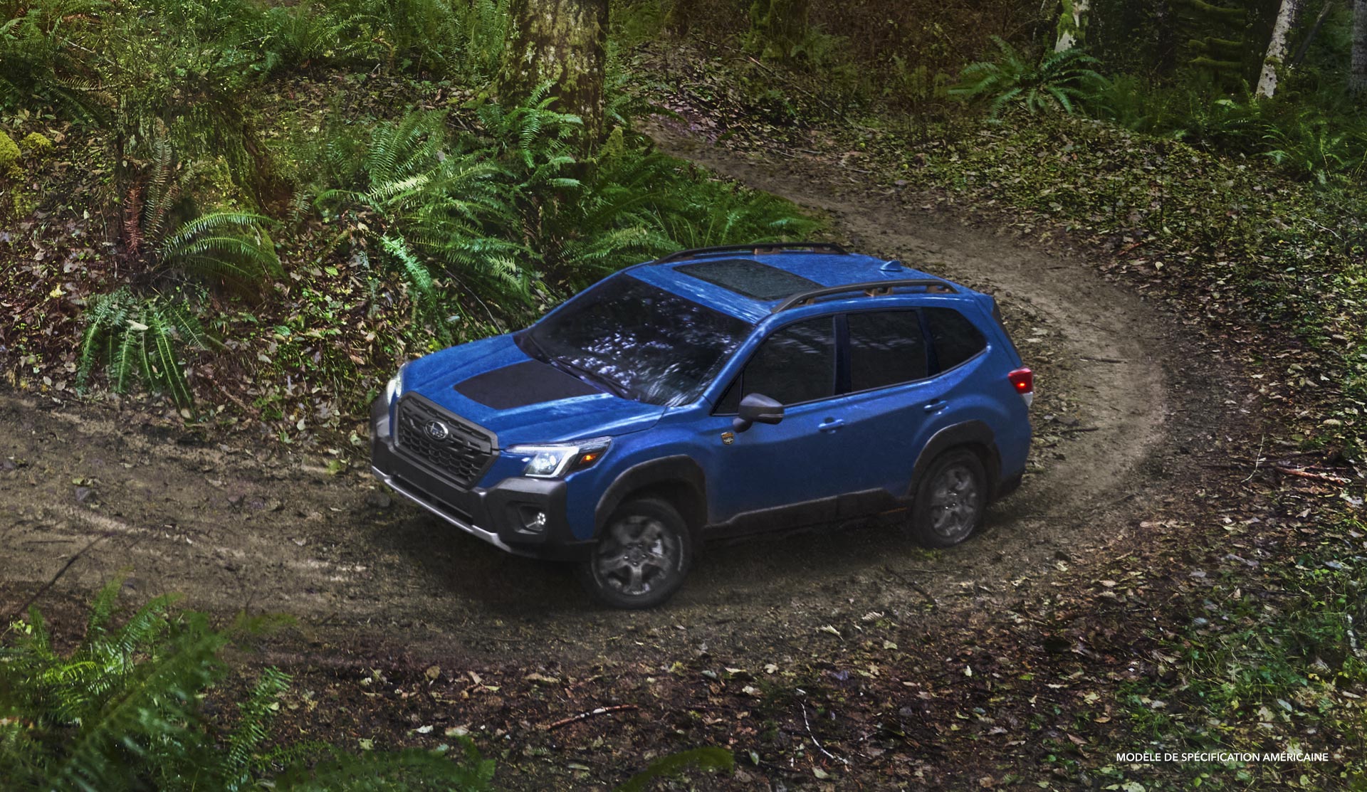 Subaru Forester 2022 Wilderness