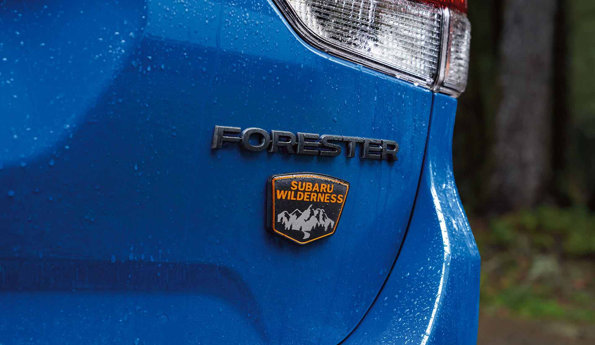 Closeup of the Wilderness badge on the rear liftgate.