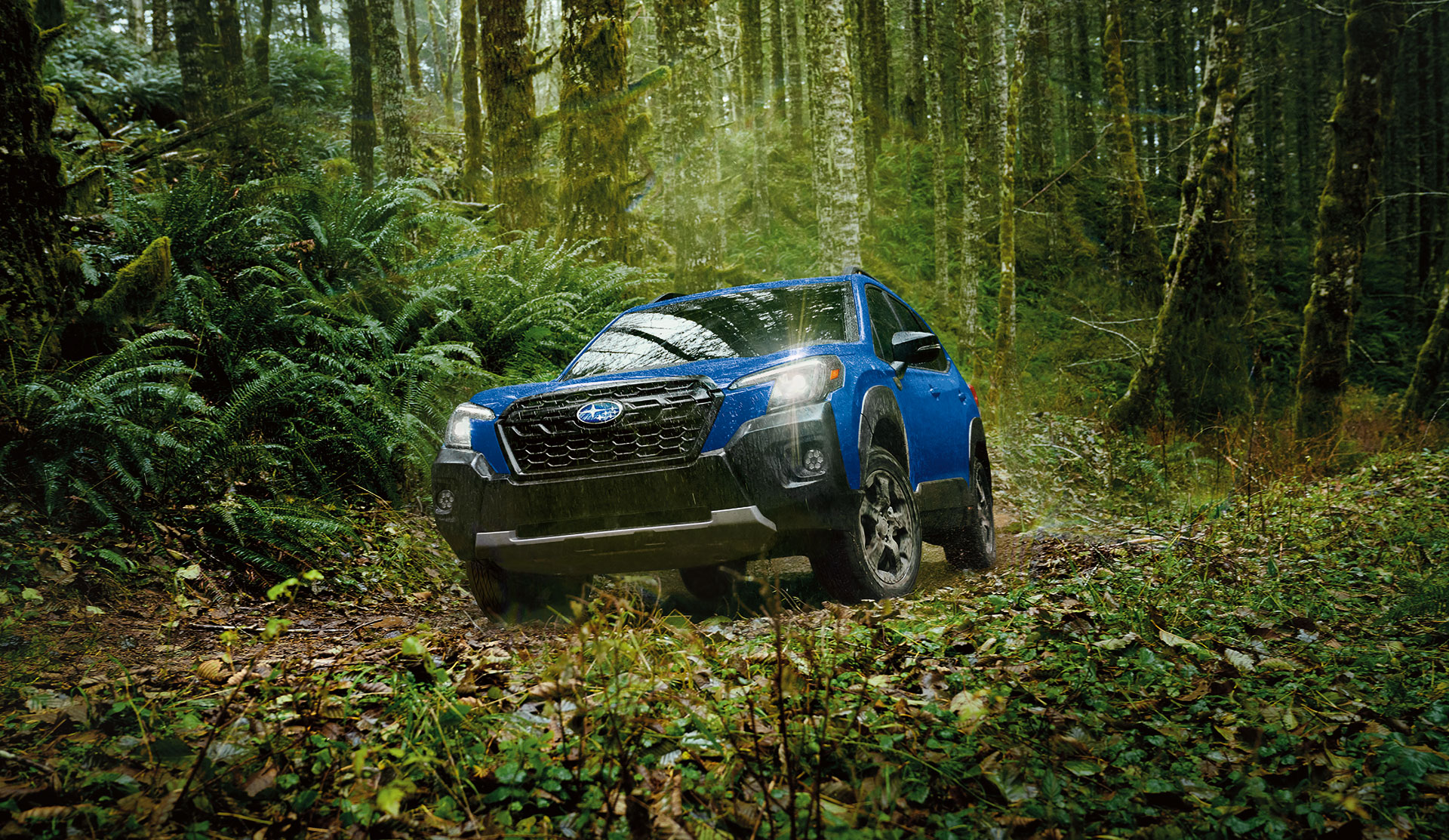 Front shot of 2023 Forester Wilderness making its way up through an off-road trail.