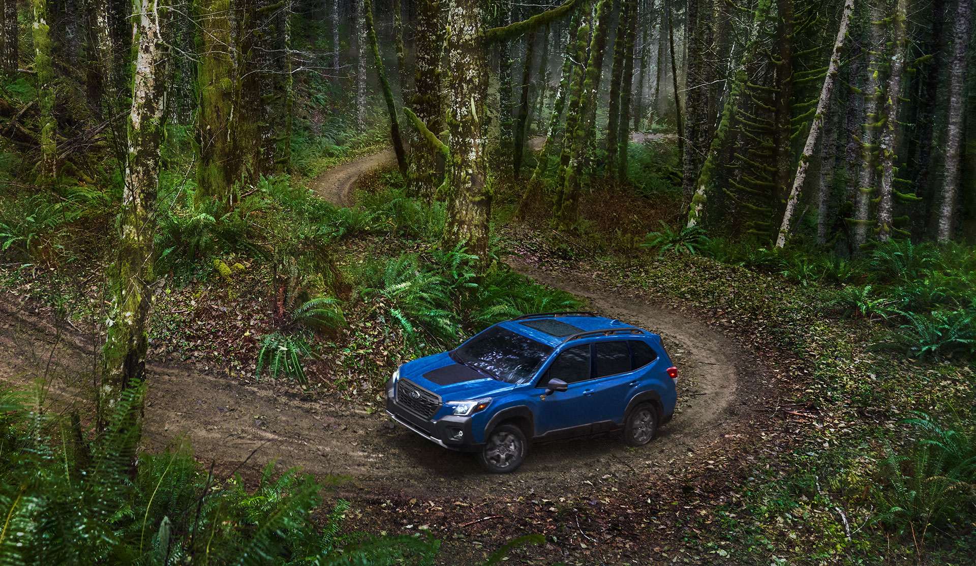 Vue de dessus de la Forester Wilderness 2023 roulant sur un sentier forestier sinueux.