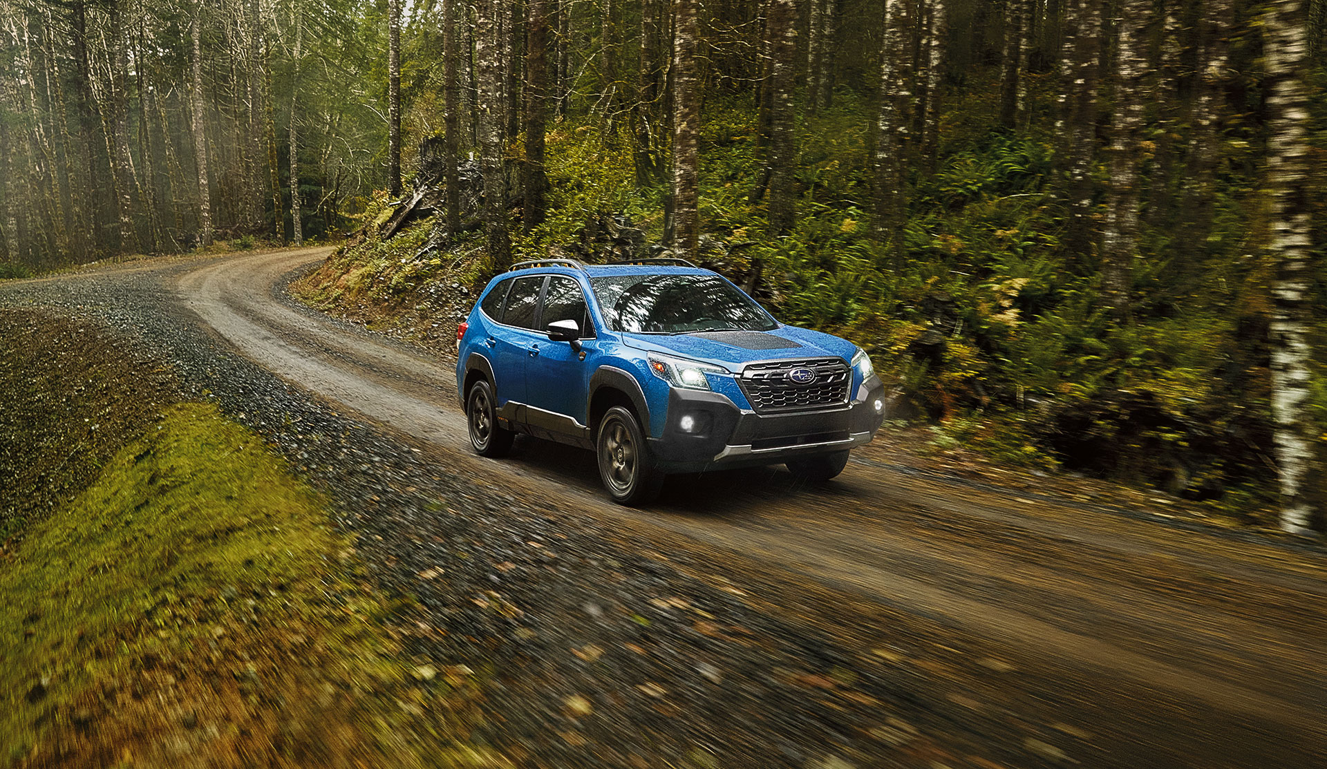 Front shot of 2024  Forester Wilderness driving on a forest trail.